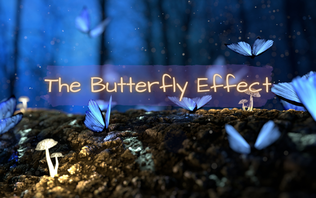 Butterfly Effect – How our intentional changes impact others